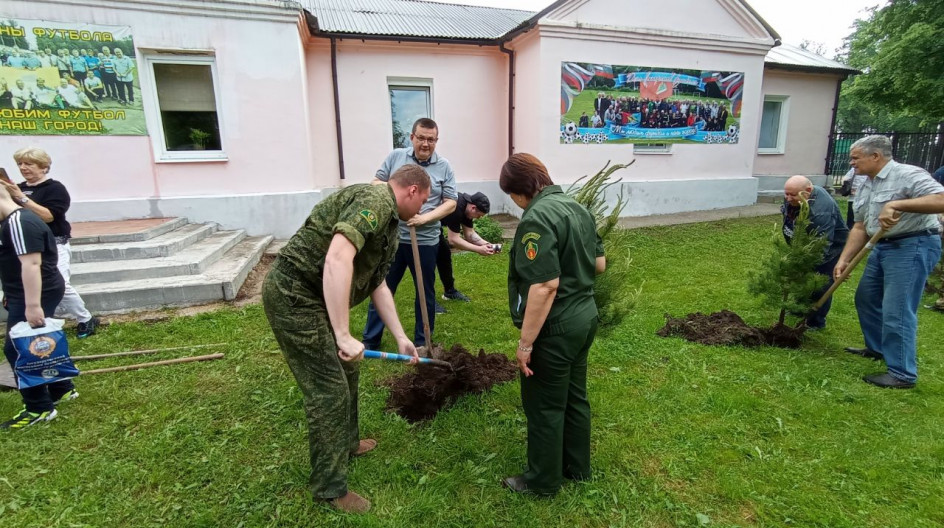 ОЖЕРЕЛЬЕ. Депутат Мособлдумы Андрей Голубев вместе с ветеранами футбола провели акцию по высадке деревьев